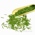 Health Care High Quality Health Benefits Pure Green Tea
